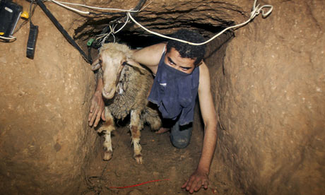 gaza-sheep-smuggling