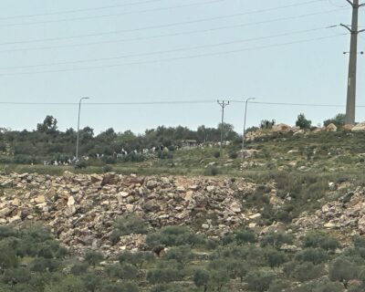 Migliaia di coloni e 7 ministri israeliani invadono area a sud di Nablus per chiedere legalizzazione di avamposto coloniale