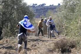 Coloni attaccano cinque famiglie palestinesi vicino a Betlemme